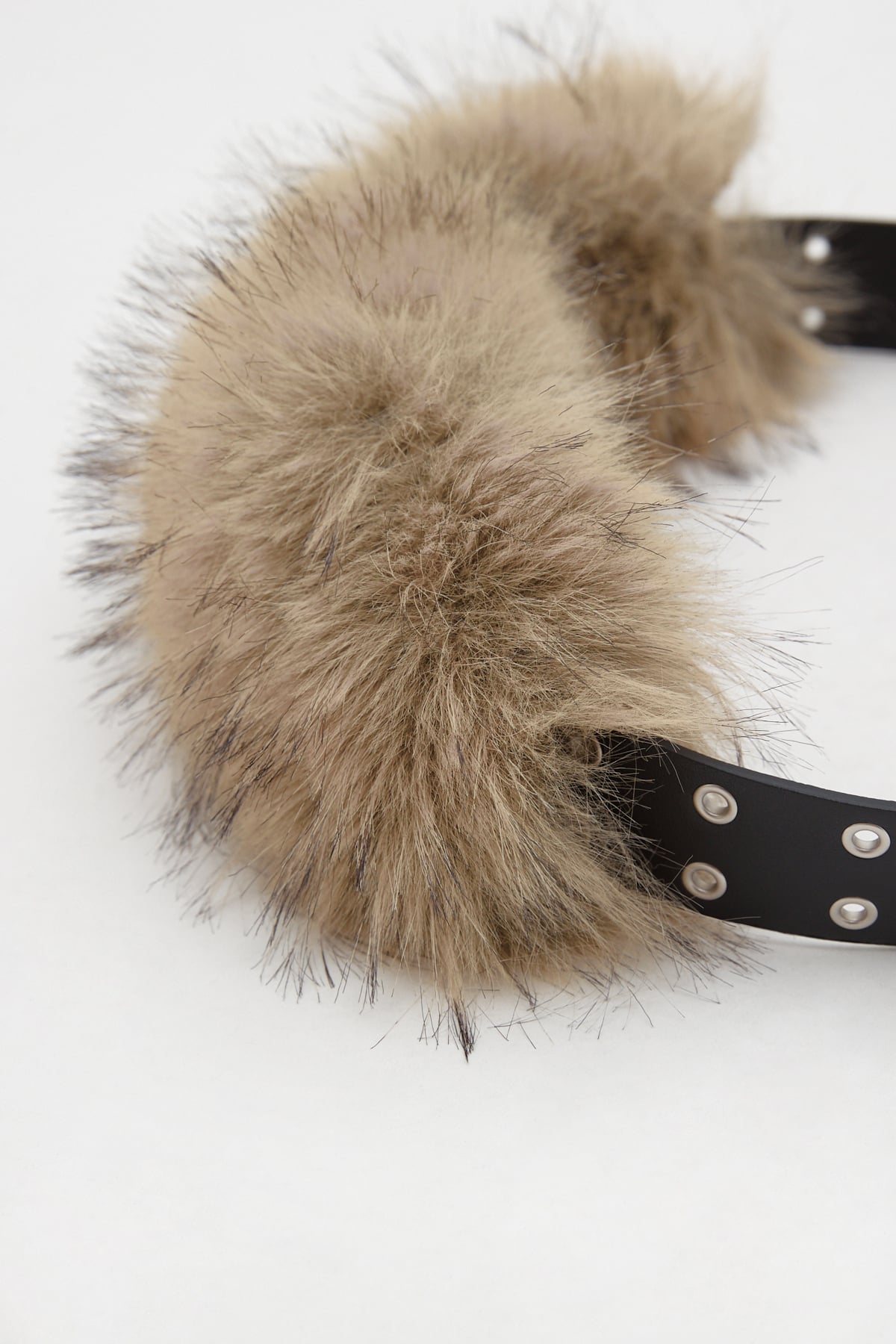 Untitled Capture17024 Untitled Capture17024